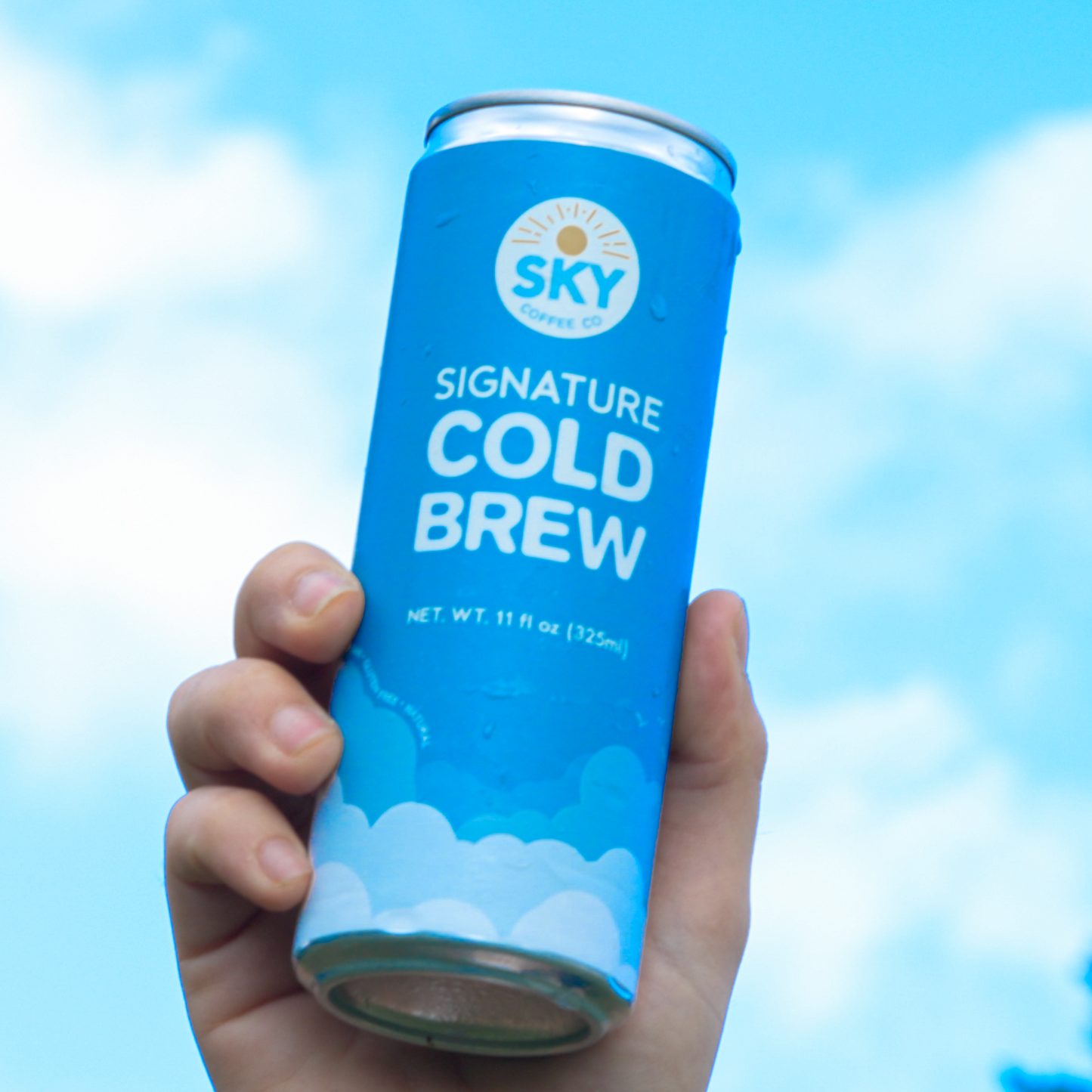 Signature Cold Brew: featuring cacao, magnesium, and ashwagandha (12 pack)